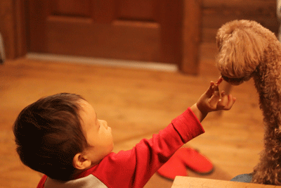 f0107364_1341941.gif