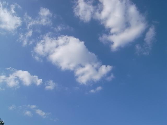 b0170369_120062.jpg