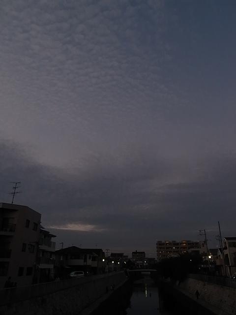 b0170369_13471448.jpg