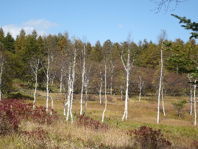 f0203369_16522789.jpg