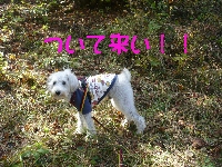 f0203369_2055249.jpg