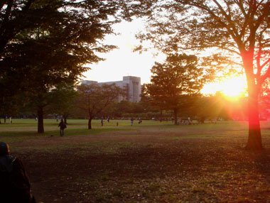 b0091373_19554639.jpg