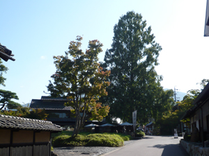 d0041074_12574633.jpg