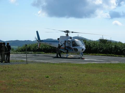 d0111174_1211161.jpg