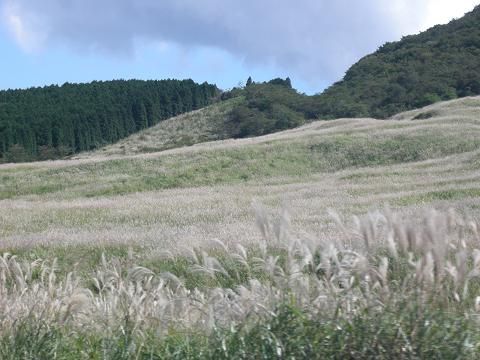 d0111174_12354655.jpg