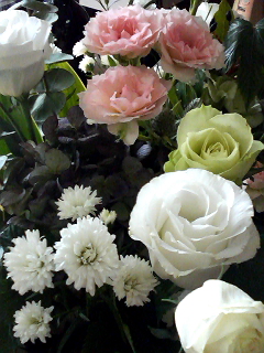 f0140174_12027.jpg
