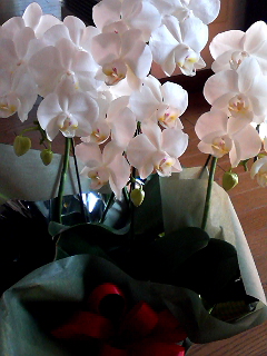 f0140174_121379.jpg