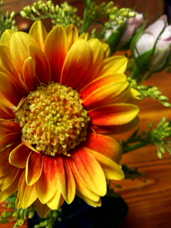 f0140174_1233984.jpg