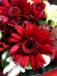f0140174_1245769.jpg
