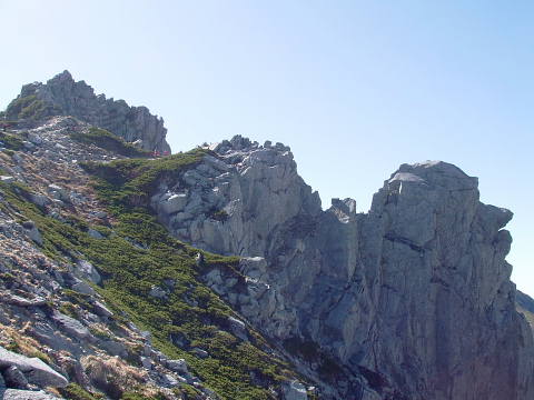 c0022275_19562537.jpg