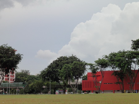 a0002177_1540295.jpg