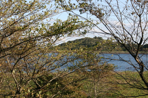 e0114977_14502923.jpg