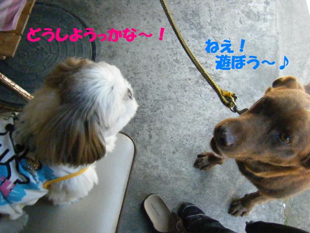 c0163878_17281653.jpg