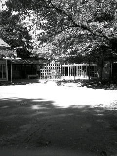 f0100480_17471496.jpg