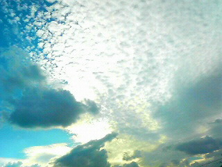 f0016981_18204639.jpg