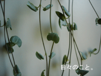 d0098182_2041957.jpg