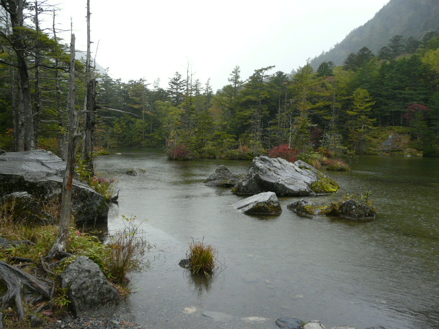 e0145782_20194734.jpg
