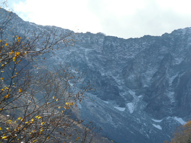 e0145782_20232130.jpg