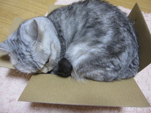 e0185485_20101342.jpg