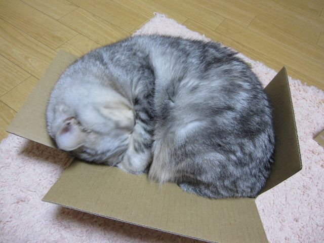 e0185485_20113589.jpg