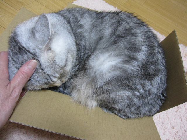 e0185485_20124387.jpg