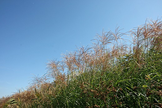 e0190885_19361888.jpg