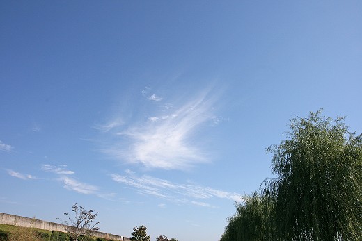 e0190885_19365019.jpg