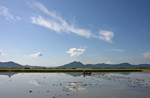 e0190885_19365635.jpg