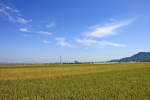 e0190885_19371430.jpg