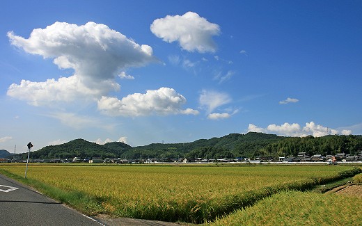 e0190885_19373978.jpg