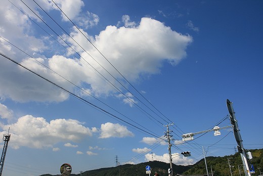 e0190885_19375297.jpg