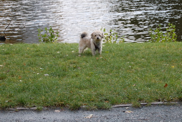 c0180686_7232229.jpg