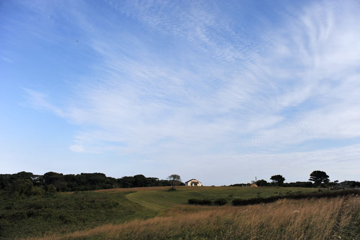 f0112087_1711075.jpg