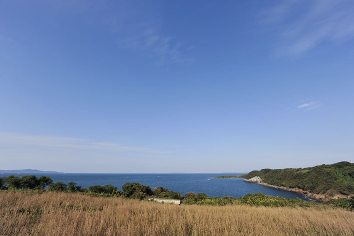 f0112087_1752043.jpg