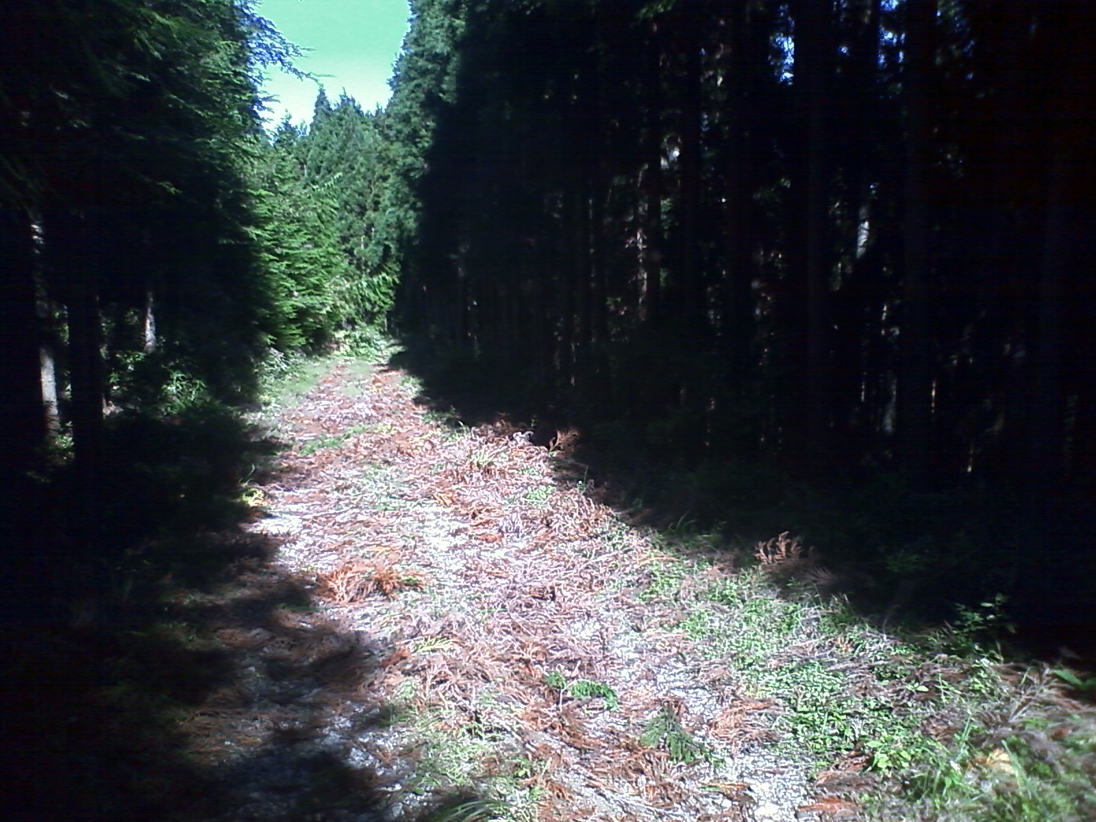 c0191988_22515293.jpg