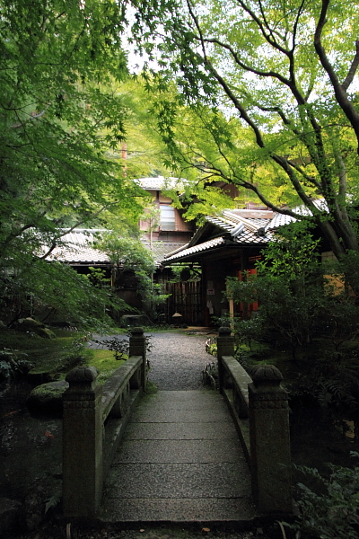 e0051888_6244.jpg