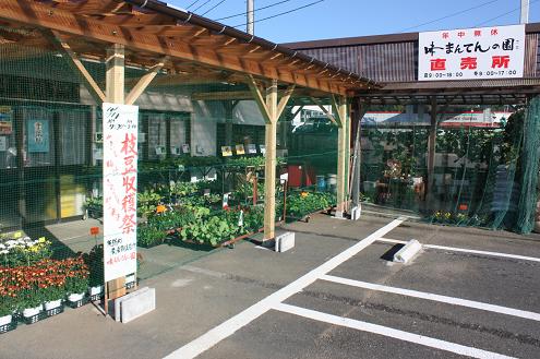 b0107691_21304868.jpg