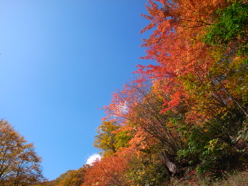b0074992_10473936.jpg