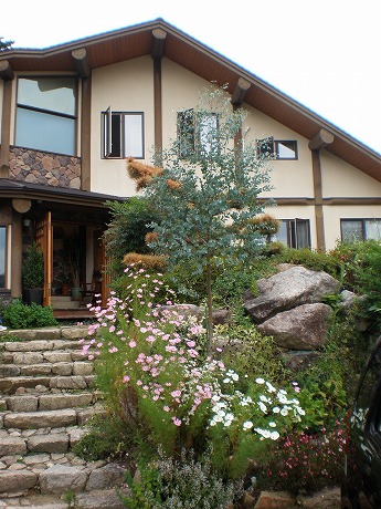 c0153292_2122316.jpg