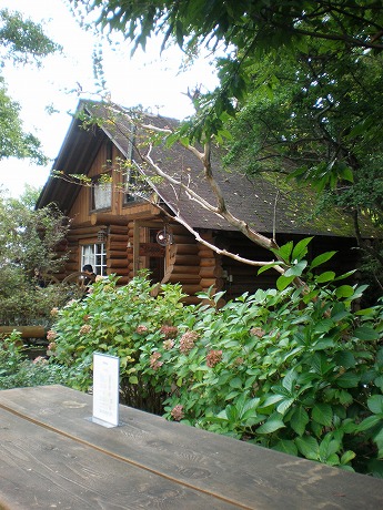c0153292_212423100.jpg