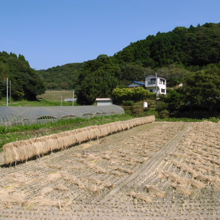 f0070493_11234646.jpg