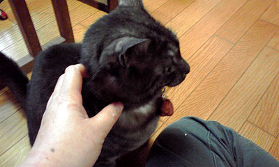 c0206596_2139374.jpg