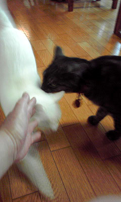 c0206596_21412617.jpg