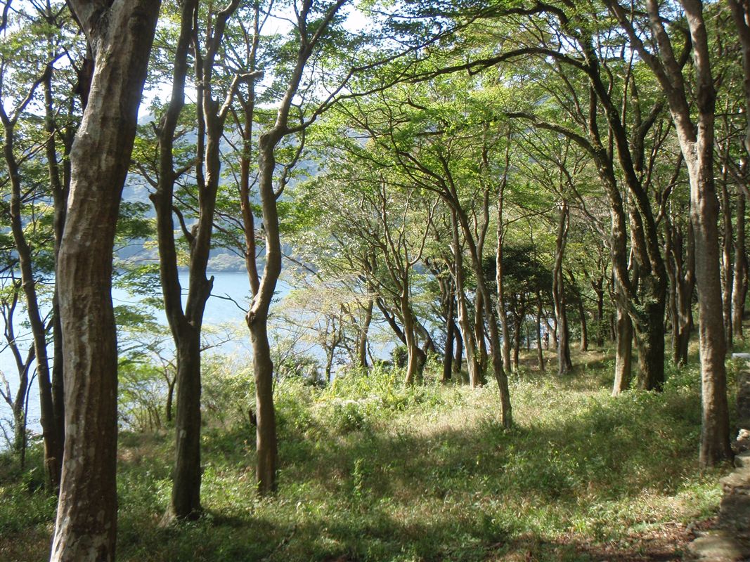 c0177497_19425227.jpg