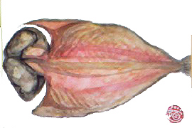 f0008597_2192189.jpg