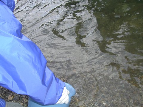 a0138198_16585627.jpg