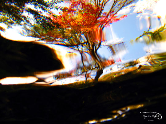 f0085599_21352837.jpg