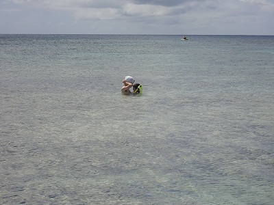 d0141800_1727940.jpg