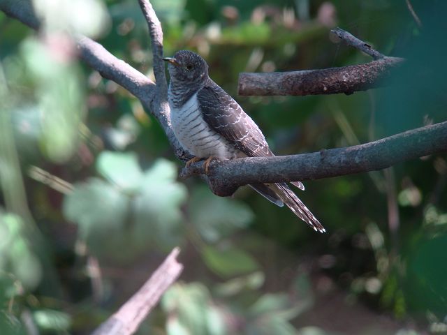 c0079001_7473651.jpg