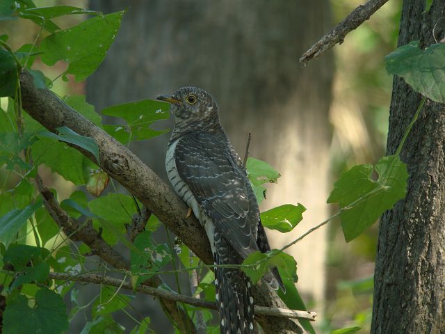 c0079001_7475912.jpg